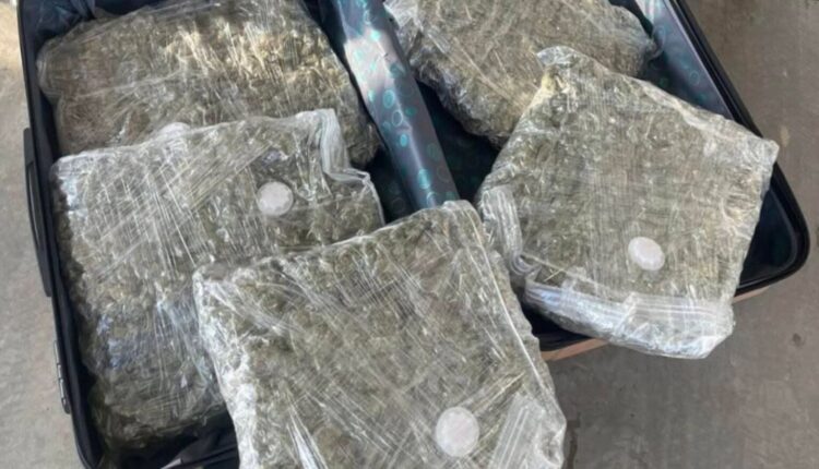 Arrestohet 31-vjeçari nga Kumanova, në automjet i gjenden mbi pesë kilogramë marihuanë