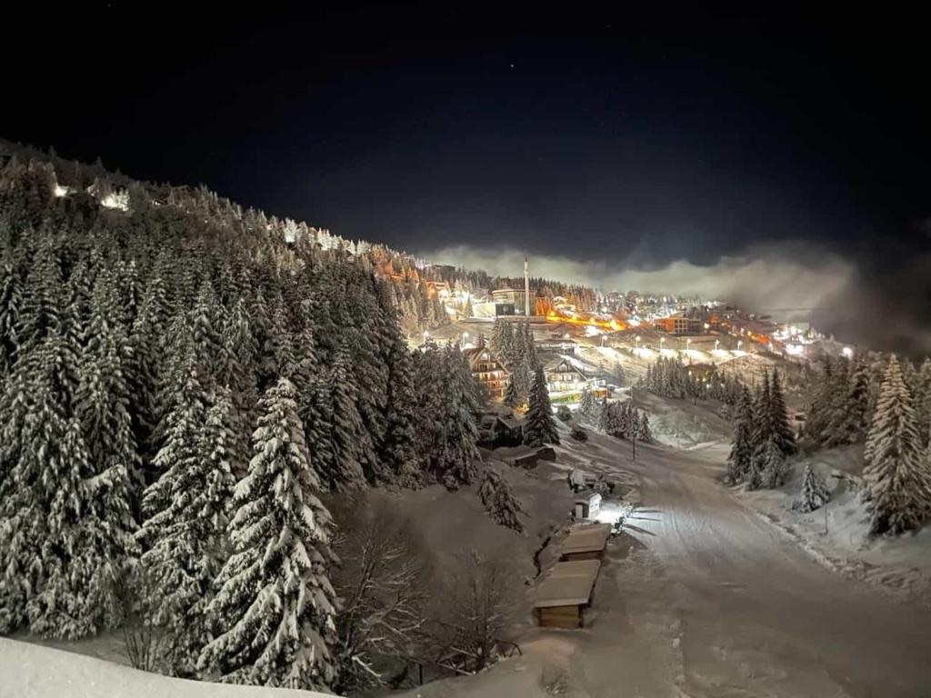 Zbuloni bukuritë e dimrit në Kodrën e Diellit!
